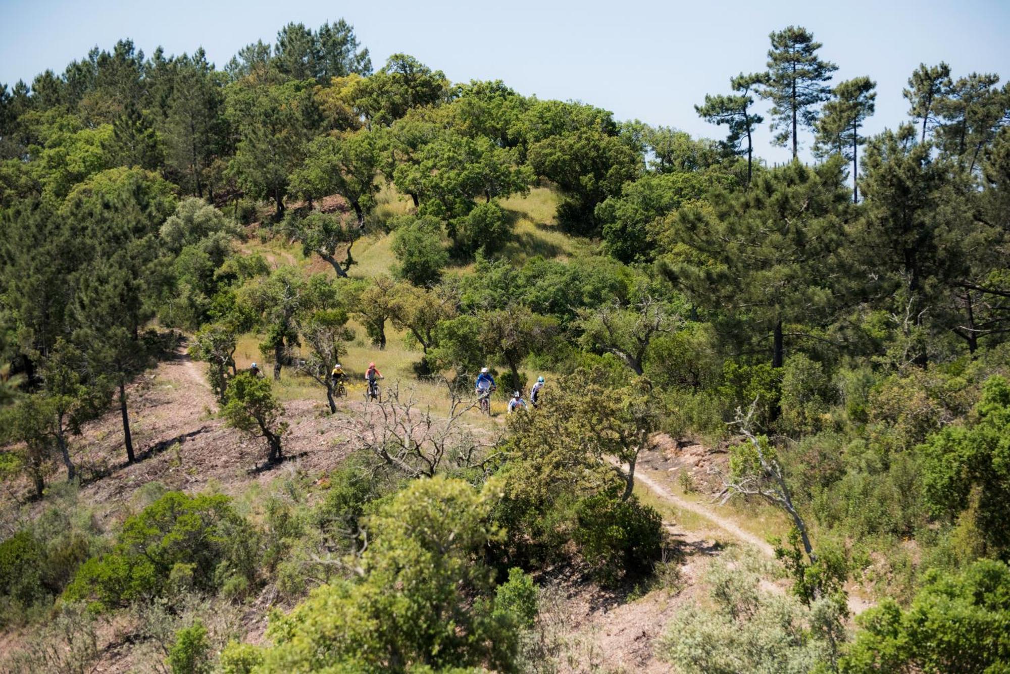 Herdade Das Barradas Da Serra 그란돌라 외부 사진
