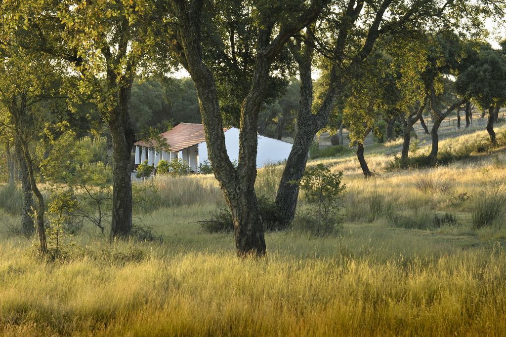 Herdade Das Barradas Da Serra 그란돌라 외부 사진