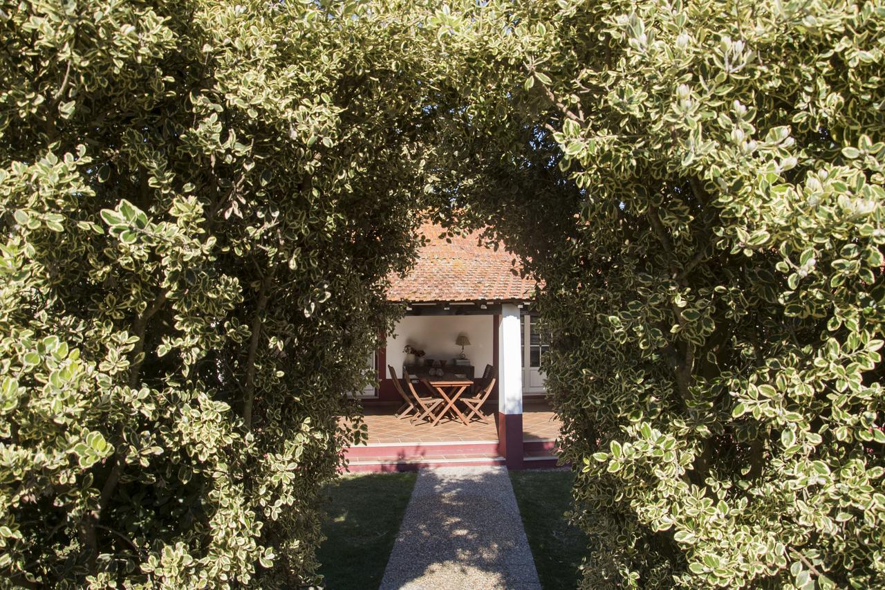 Herdade Das Barradas Da Serra 그란돌라 외부 사진