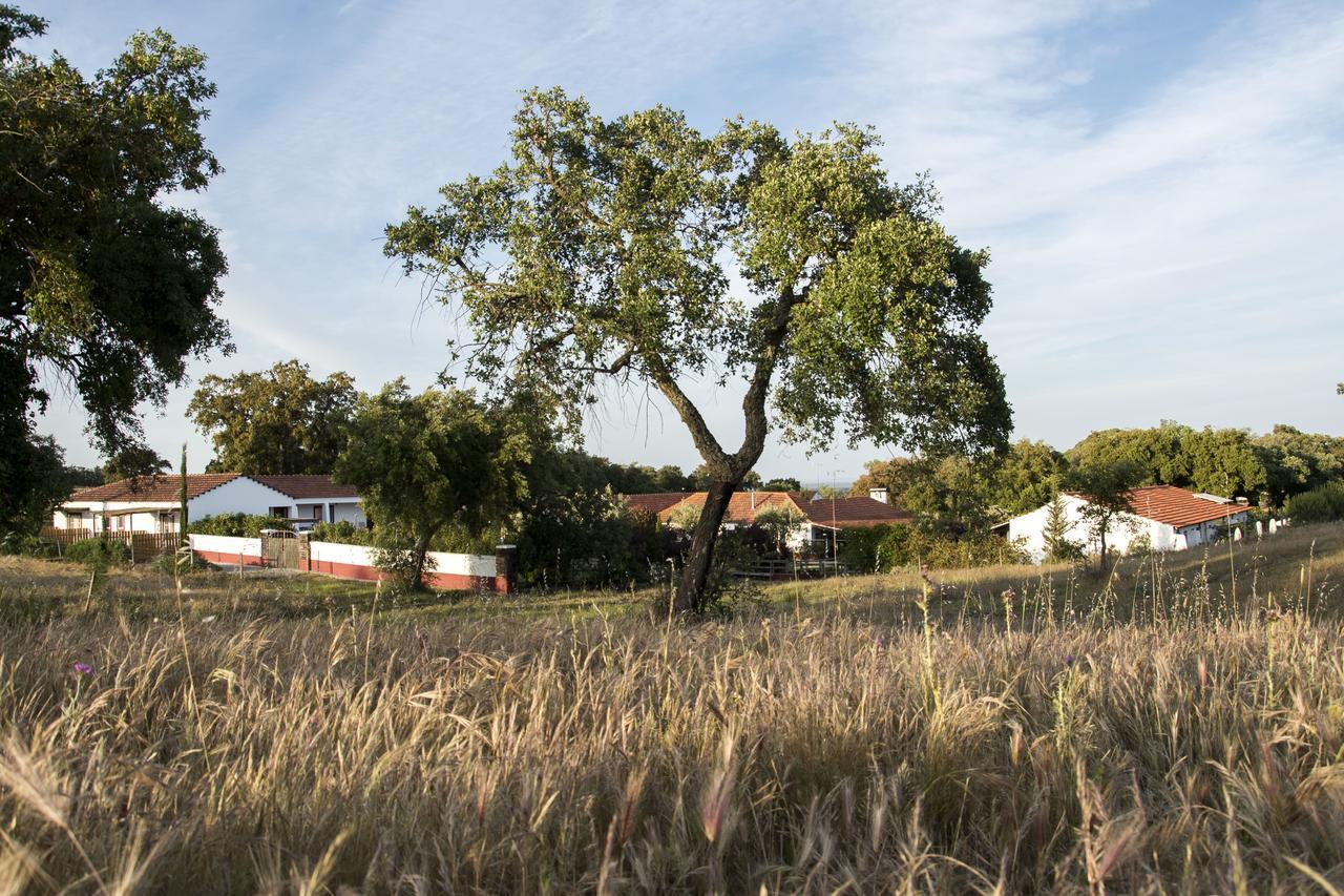 Herdade Das Barradas Da Serra 그란돌라 외부 사진